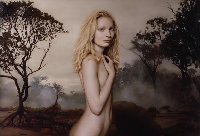 Vee Speers(born 1962)Immortal #01